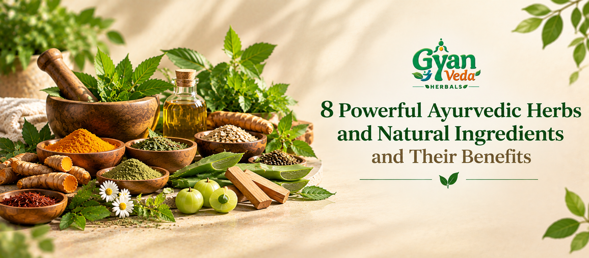 Ayurvedic herbs and their benefits banner blog image