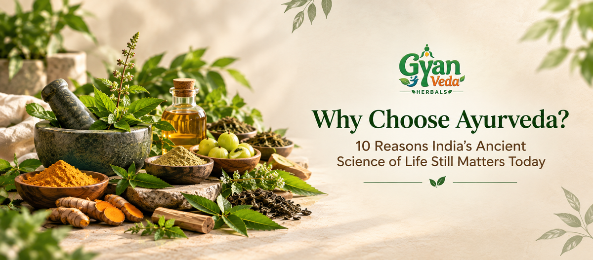 Why Choose Ayurveda? 10 Reasons India's Ancient Science of Life Still Matters Today