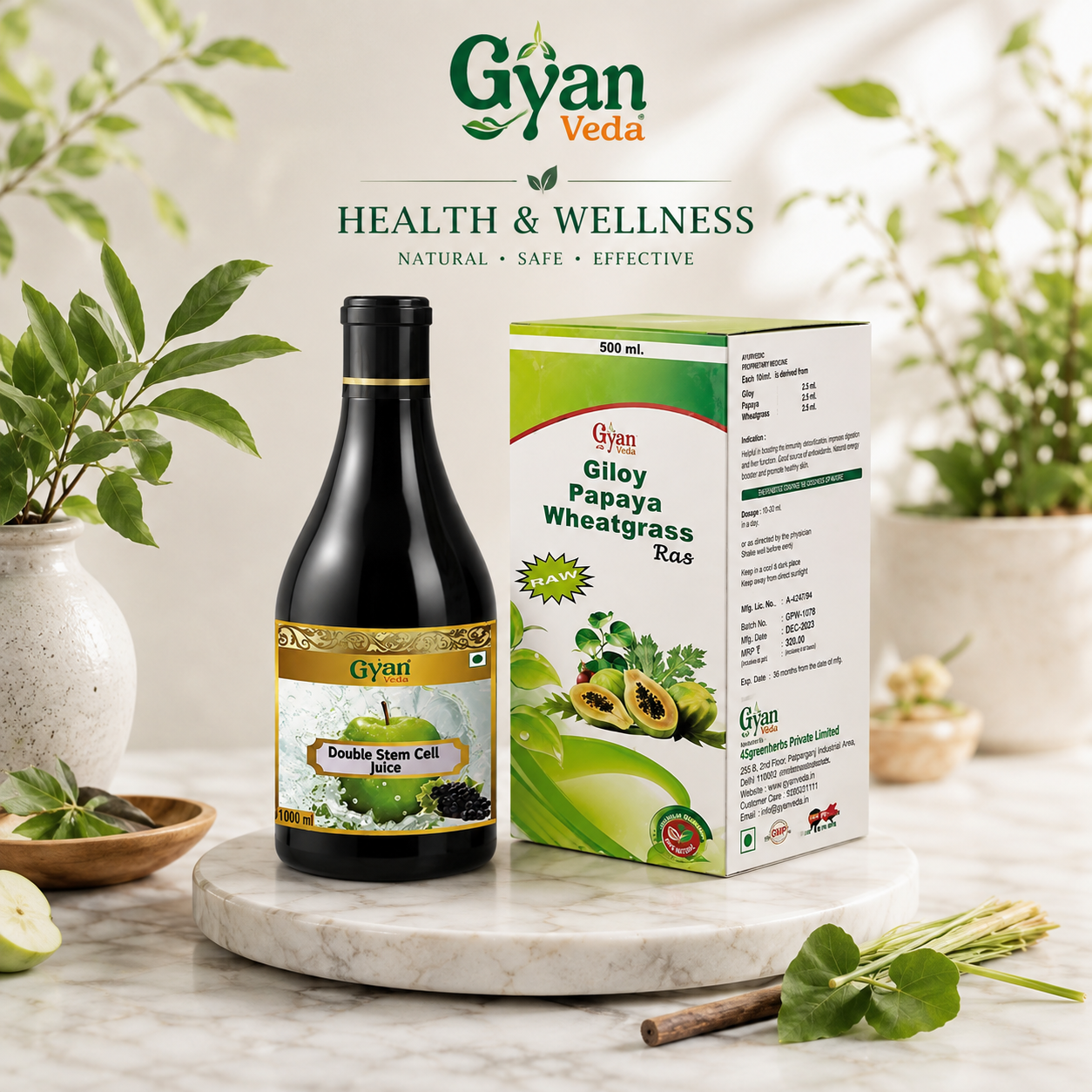 Health & Wellness