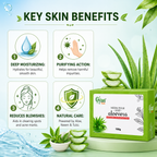 Aloe Vera Soap | Gyanveda