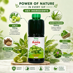Pure Amla Ras - Ayurvedic Herbal Juice for Immunity & Digestion