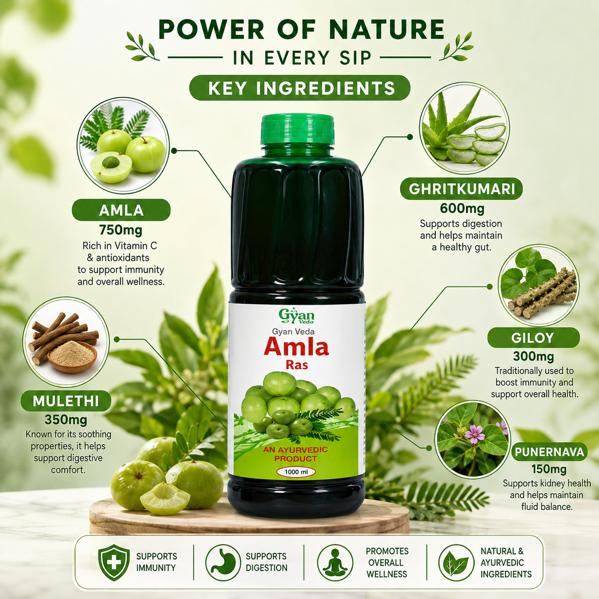 Pure Amla Ras - Ayurvedic Herbal Juice for Immunity & Digestion