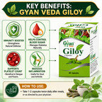 Pure Giloy Capsules (60 Capsules) - Ayurvedic Immunity Booster