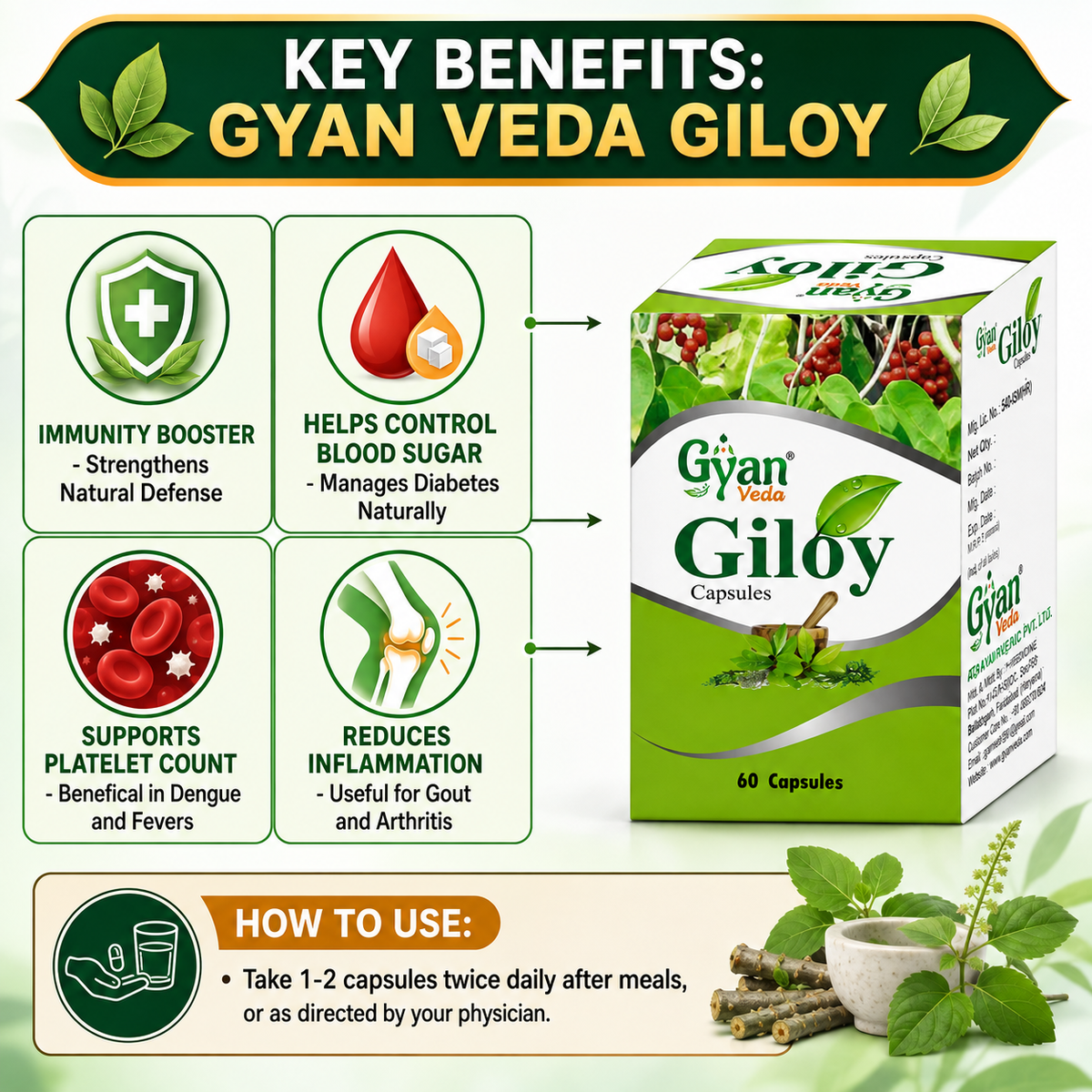 Pure Giloy Capsules (60 Capsules) - Ayurvedic Immunity Booster