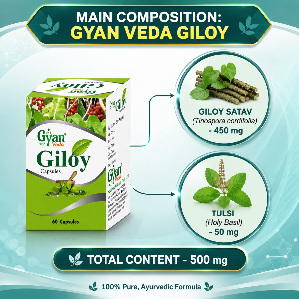 Pure Giloy Capsules (60 Capsules) - Ayurvedic Immunity Booster