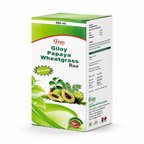 Giloy, Papaya & Wheatgrass Herbal Juice | GPW Juice - Gyanveda