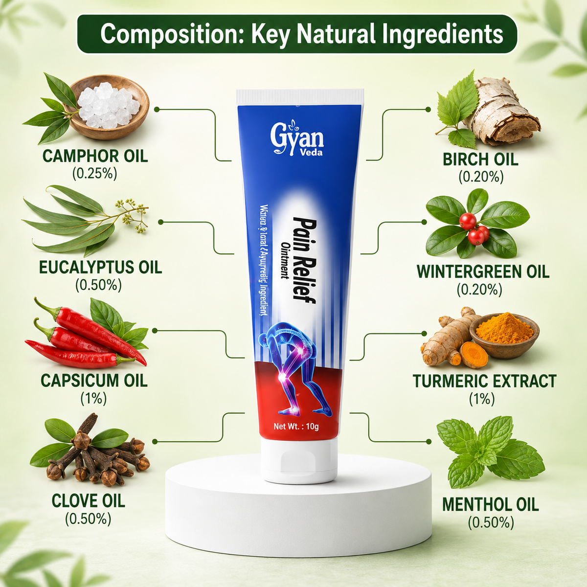 Pain Relief Ointment with Camphor, Eucalyptus - Herbal Joint & Muscle Care | Gyanveda