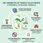 Panch Tulsi Drops (20ml) - Pure Ayurvedic Immunity Booster