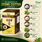 Stone Cutter Capsules | Kidney Stone Support | Gyanveda Herbals