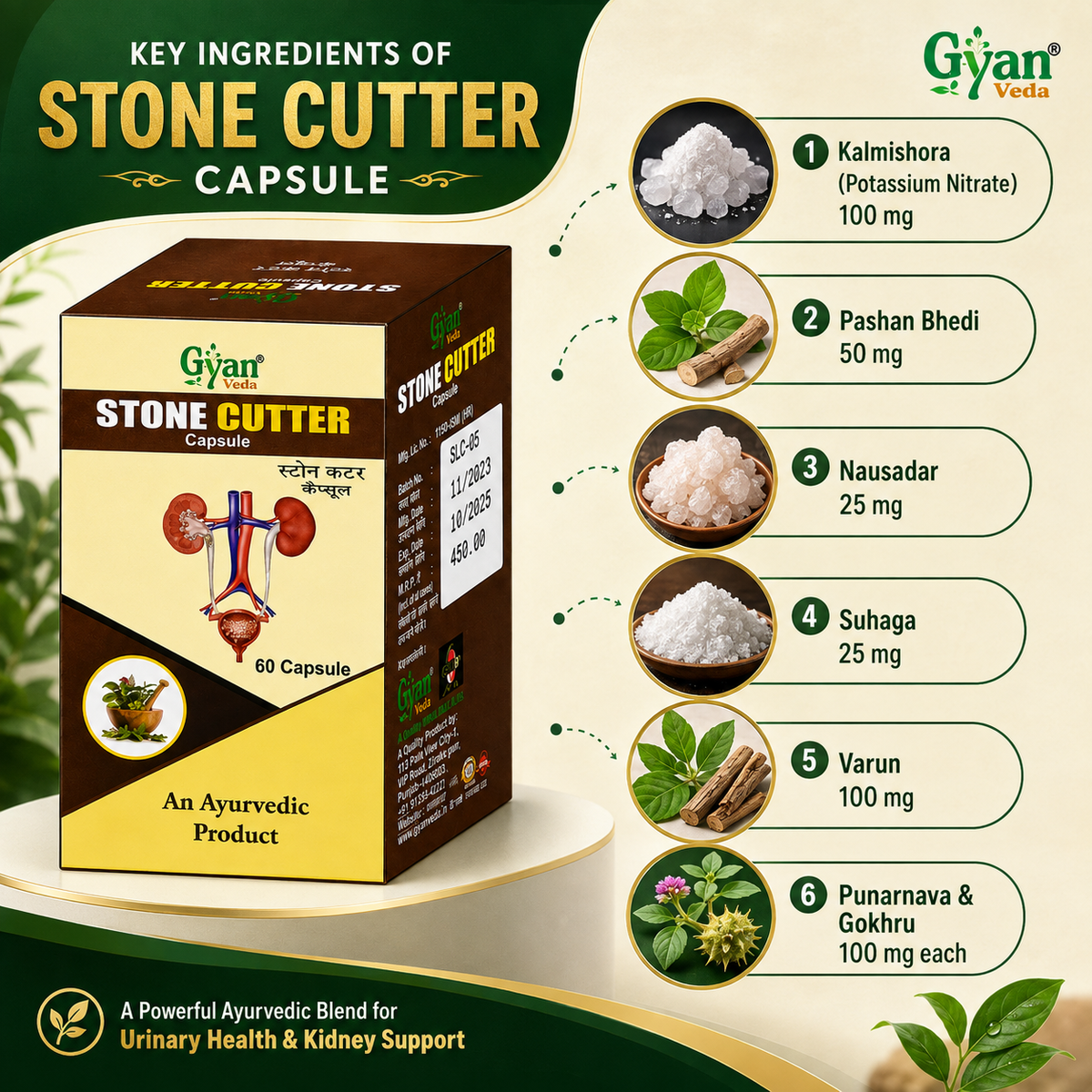 Stone Cutter Capsules | Kidney Stone Support | Gyanveda Herbals