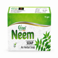 Neem Bath Soap 75g Ayurvedic Herbal Cleansing | Gyanveda